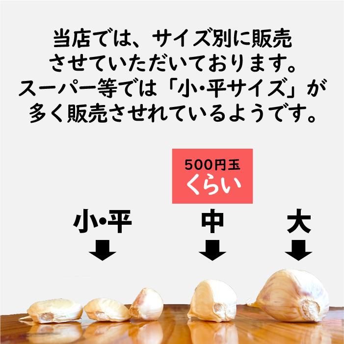 バラ にんにく 青森 500g バラ 送料無料 青森県産にんにく 500g バラニンニク 国産