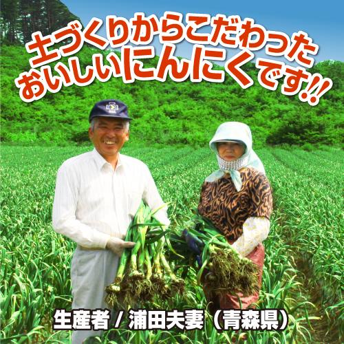 有機 黒にんにく 青森産 熟成 黒ニンニク 無添加 抗酸化 免疫力 健康 精力 体力 UP『酵素熟成 黒にんにく 青森県産 大粒 6球入り×1箱』