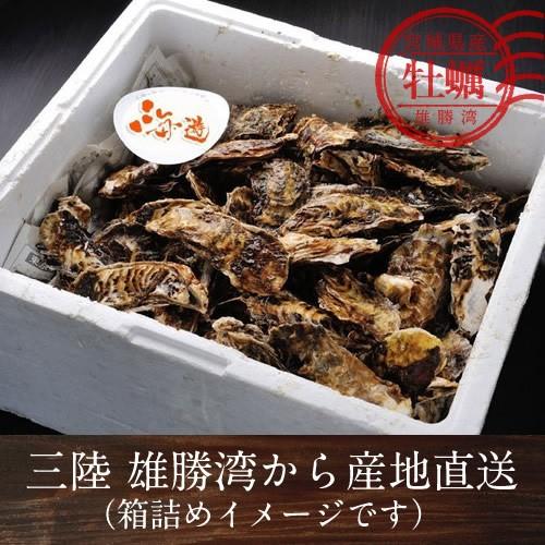 カキ 牡蠣 生牡蠣 殻付き M 20個 生食用 生ガキ 宮城県産 三陸漁師 格安 産地直送 お取り寄せ バーベキュー［お歳暮 2023 ギフト 魚 御歳暮］