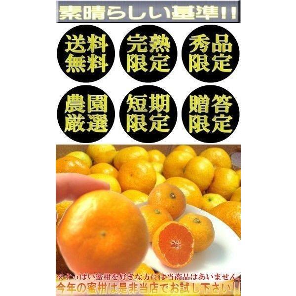 樹成り完熟 有田みかん 宮喜園限定 約5kg 和歌山県産 贈答規格 農園指定蜜柑 実測糖度14度超の濃厚な味！有田地域の個人農家が手掛けた抜群の美味しさ