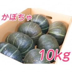 北海道 富良野市産 かぼちゃ「ブラックのジョー」 10kg