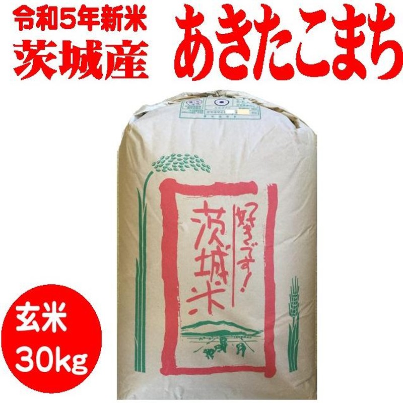 秋田県産（2019年）あきたこまち 玄米 30キロ 一等米 - 食品