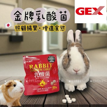 哈密兔事·GEX金牌乳酸菌錠🇯🇵腸胃健康保健·兔子保健食品兔 兔子腸胃保健·兔子拉肚子·天竺鼠保健品