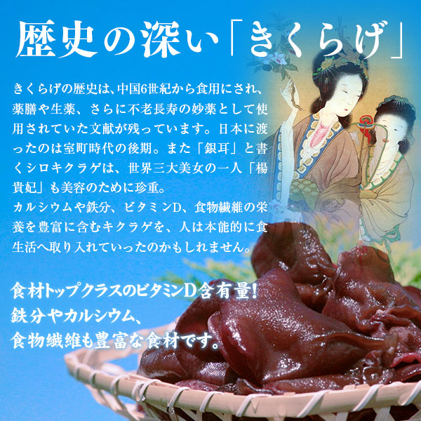 国産　生きくらげと乾燥きくらげ　計560ｇ　きくらげ専門農家直送　無農薬