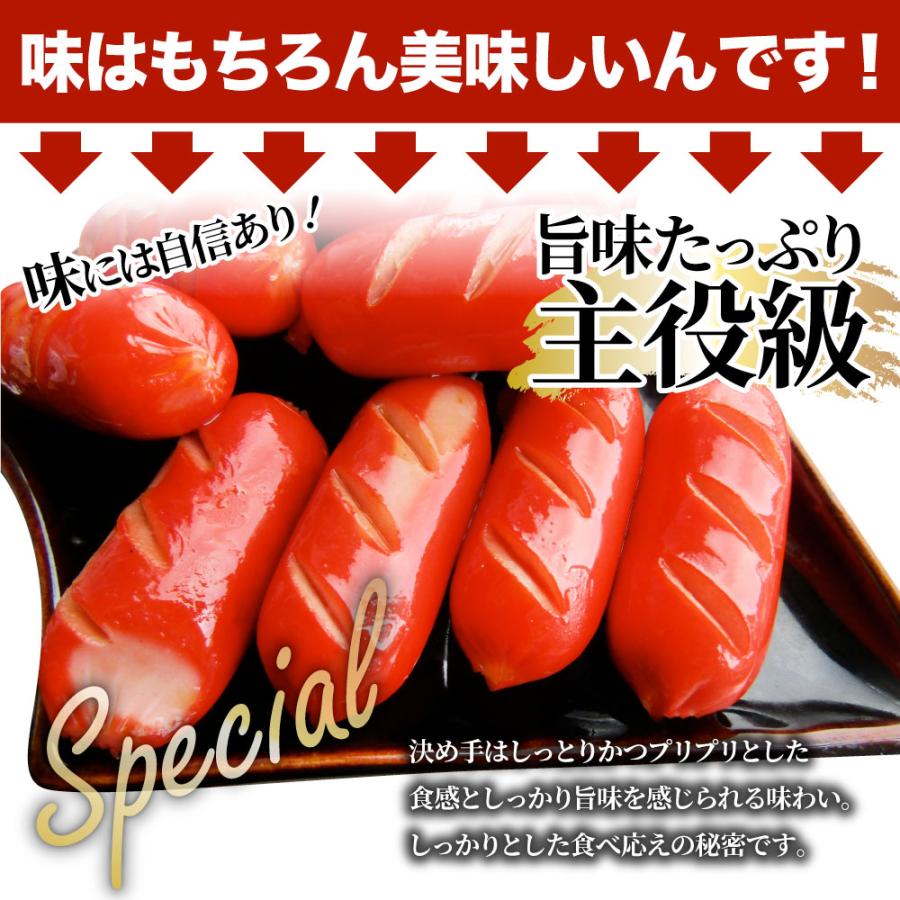 ウインナー 赤ウインナー 4kg(1kg×4) 国産100％肉使用 タコさんウインナー 豚 焼肉セット 朝食 焼くだけ お弁当 弁当 アウトドア お家焼肉 送料無料