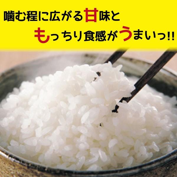 熊本県産  阿蘇米（あきげしき）　5ｋｇ　2袋以上ご購入で送料無料