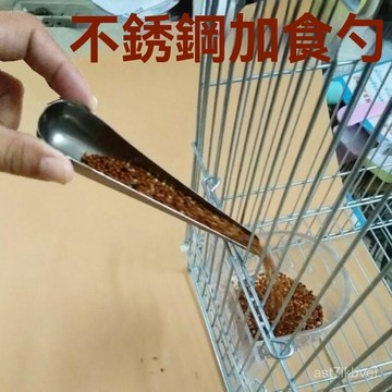 💥限時下殺💥幼鳥餵食器 鸚鵡餵食湯匙頭 不鏽鋼餵食器 鸚鵡餵食器 針筒餵食器 矽膠軟管 針管餵食幼鳥餵食鳥用不銹鋼加食器