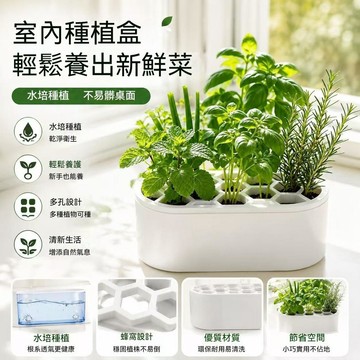 💥免運💥臺灣出貨🚚蔬菜水培箱 青蔥水耕種植盒 蔥花香菜大蒜栽培盆 免土培陽臺窗臺家庭種植 水培盆栽容器 水培蔬菜種植盒
