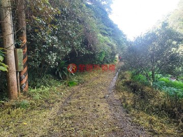 關西渡假休閒農地｜新竹縣關西鎮十寮