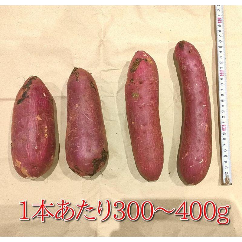 千葉県産 さつまいも 紅はるか A品 約4.5kg (L)