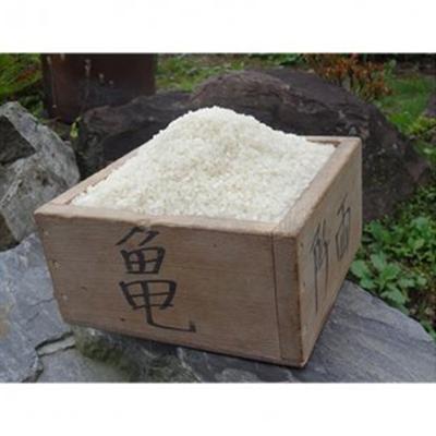 ふるさと納税 加美町 希少品種「ササシグレ」玄米5kg 全3回