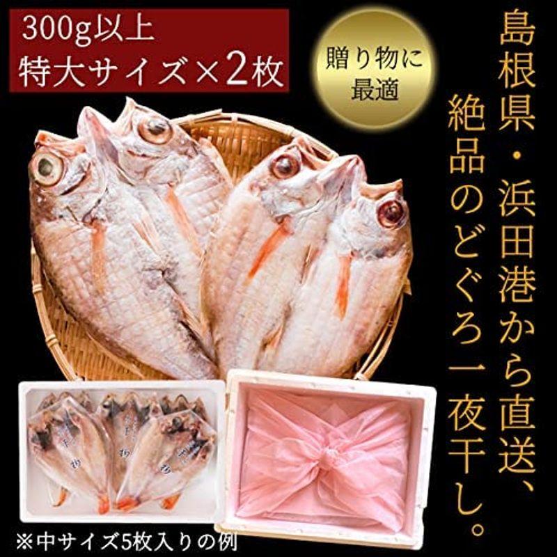 風味絶佳.山陰 のどぐろ 干物 300g以上（特大サイズ）×2枚入 島根県浜田産 無添加 一夜干し