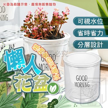 懶人花盆 吸水花盆 懶人盆栽 透明花盆 免澆水花盆 室內植物 水耕盆栽 水耕瓶 小花盆 園藝 盆栽容器 QQQ