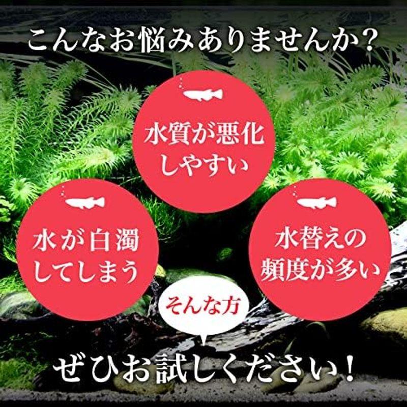 特濃 PSB光合成細菌 2.0L 関連:めだか金魚免疫強化水質浄化クロレラS