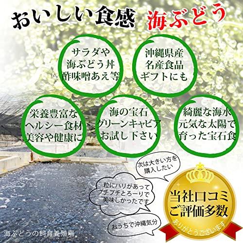 うちな〜竜宮市場 生海ぶどう 100ｇ×3パック (300g) 沖縄 県産 専用 シークワーサー タレ 付き 100g 小分け パック 沖縄料理 沖縄