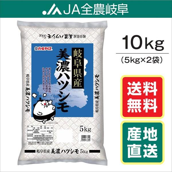 米 令和5年産　10kg　美濃ハツシモ　岐阜県産　(5kg×2袋)　送料無料（一部地域を除く）レビュー投稿でエコバックが付く