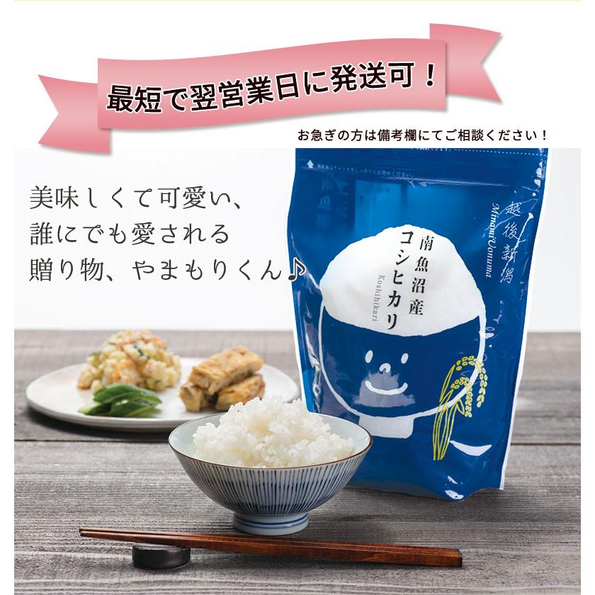 お米 送料無料 引っ越しご挨拶用やまもりくん6個セット 900g×6 引越し 引っ越し挨拶品 令和５年産  南魚沼産コシヒカリ 新潟米 ギフト 挨拶 6合 手提げ袋付