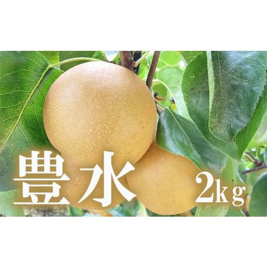 ふるさと納税 福島県 福島市 No.1715梨　なし　豊水　約2kg