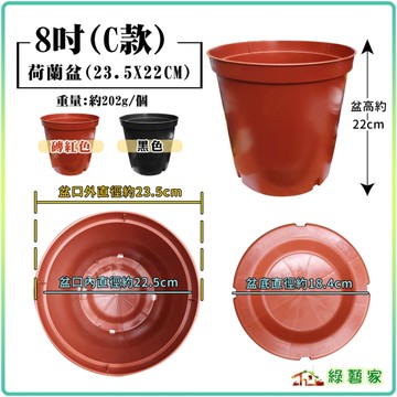 【綠藝家】8吋彩盆(無邊)-黑色、紅色(兩色可選)荷蘭盆(栽培盆)