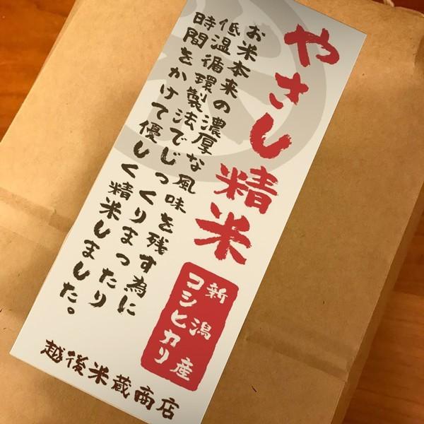 [新潟米 令和4年産] 新潟産コシヒカリ やさし精米 20kg (5kg×4袋) 低温循環精米 新潟米 お米 白米 新潟県産 こしひかり 送料無料 ギフト対応