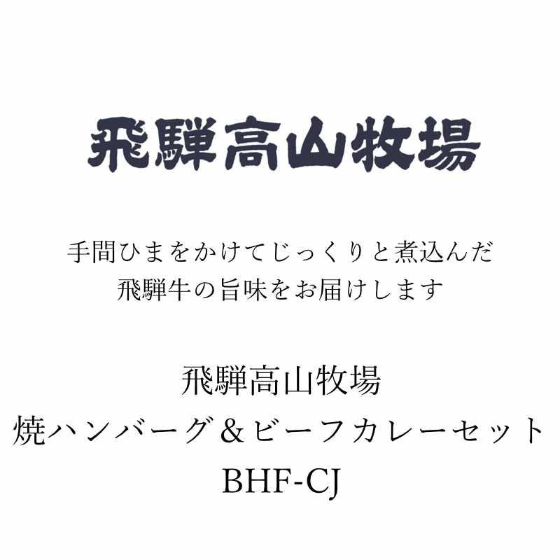 お歳暮 ギフト 出産祝い 内祝い お返し 惣菜 飛騨高山牧場 焼ハンバーグ＆ビーフカレーセットBHF-CJ 送料無料 結婚祝い 出産内祝い お礼 お供え