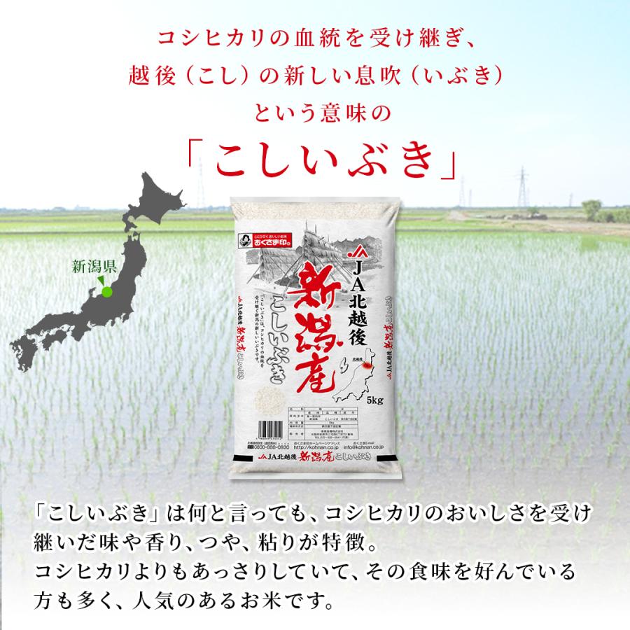 米10kg 米 お米 10kg 白米 送料無料 こしいぶき 新潟県産 安い 米5kg×2 こめ 米10キロ お米10キロ お米10kg 精米 単一原料米 令和5年産 新米 美味しい