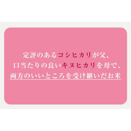 ふるさと納税 令和4年産 福岡県産 夢つくし 無洗米 15kg 5kg×3袋 株式会社オカベイ《30日以内に順次出荷(土日祝除く)》米 コメ ゆめつくし .. 福岡県鞍手町