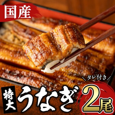 国産 特大うなぎ蒲焼(計約320g・約160g×2尾)