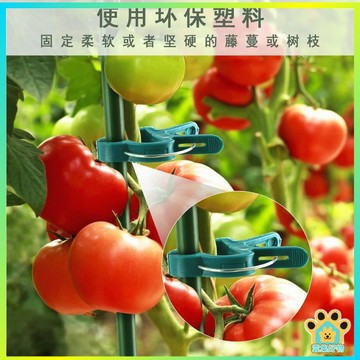 植物固定夾 植物夾 園藝夾 嫁接夾 藤蔓夾 園藝植物夾 花夾 花盆  大號 小號 夾子 園藝
