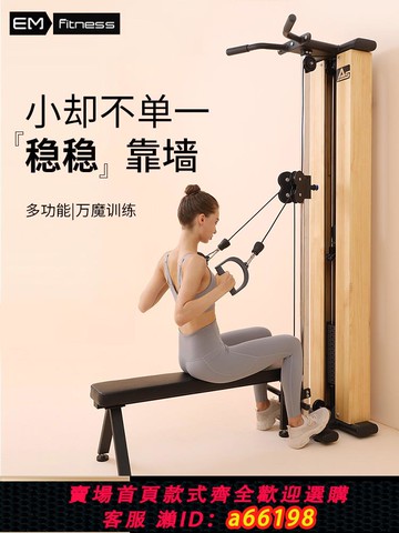 【台灣公司 可開發票】小飛鳥多功能家用龍門架單邊靠墻體壁掛式綜合訓練器材私教健身器