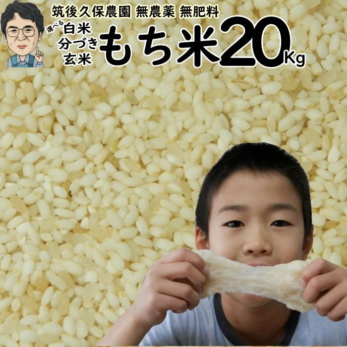 無農薬 無肥料 栽培米 もち米 20Kg 福岡県産 ひよくもち 筑後久保農園 自然栽培米