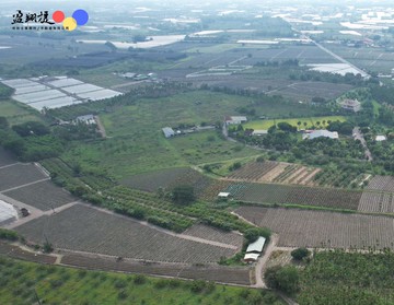 【屏東高樹泰山 53.2 台分廣大農地】｜屏東縣高樹鄉泰和段