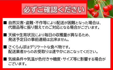  《定期便2回》 さくらんぼ食べ比べ定期便 「佐藤錦・紅秀峰」 各500g (秀品) 『マルエ青果』 果物 くだもの フルーツ 山形県 南陽市 [1888]