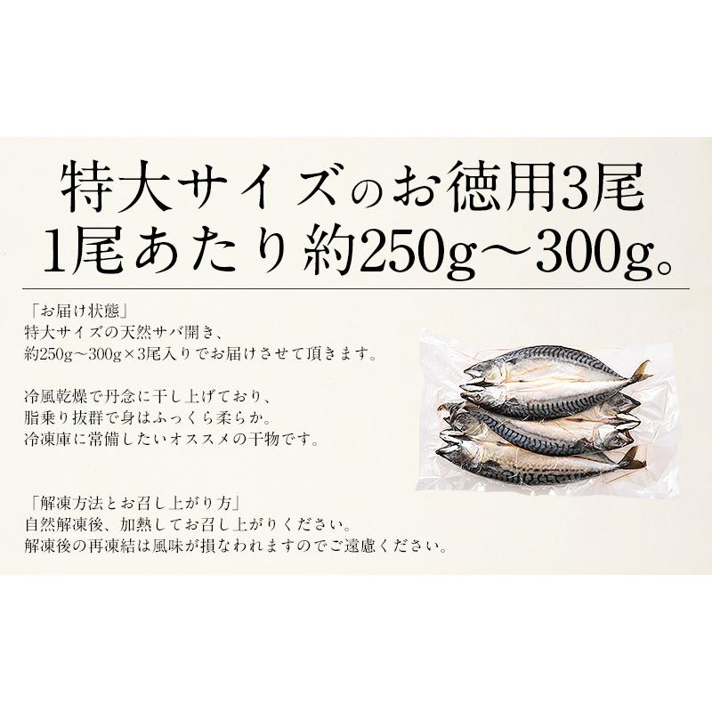 干物 さば サバ 鯖 特大サイズ 約250〜300g×3尾 干物 詰め合わせ 冬グルメ 冬ギフト