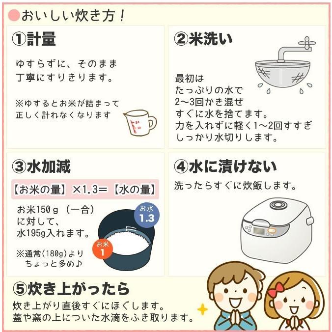 新米 令和5年産 お米 3kg いのちの壱 送料無料（北海道、九州、沖縄除く）