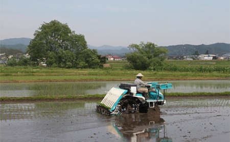 令和5年産よっしーの「つや姫」さまeco（玄米）5kg×6 米 お米 おこめ 山形県 新庄市 F3S-1629