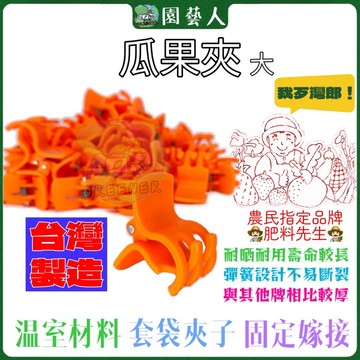 🌿園藝人🌿 最便宜！非陸貨！嫁接夾（大）50入 農民指定品牌 肥料先生花梗夾 瓜果夾 50入