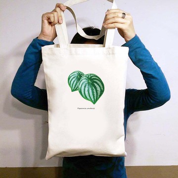 植物 西瓜皮椒草 觀葉植物 帆布袋