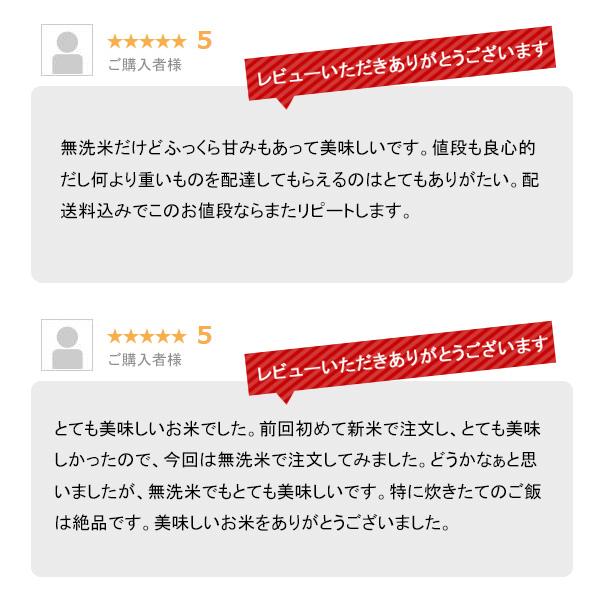 新米 10kg 新潟コシヒカリ （無洗米） お米 10キロ 令和5年産 送料無料