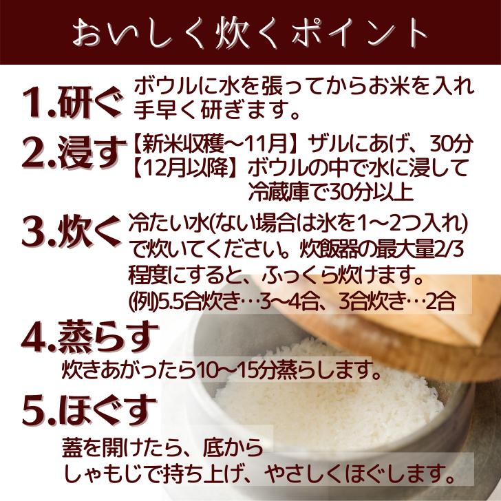 新米 5年産 新潟 米 コシヒカリ 新潟 コシヒカリ 5kg 美味しい お米 5kg 新潟産 受注してから精米します 白米 精米 減農薬 農家 直送 ギフト 内祝い プレゼント