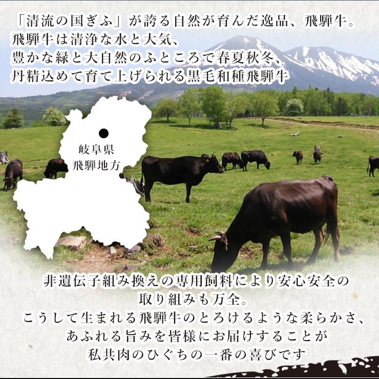 肉 牛肉 焼肉セット 飛騨牛 カルビ 味付 500g(250g×2パック) 味付  バーベキュー バーベキューセット 黒毛和牛 焼肉 お取り寄せグルメ