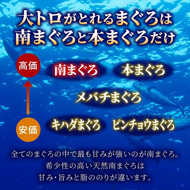 天然南マグロ大トロ付きブロック500g 冷凍 ミナミマグロ インドマグロ インド鮪 まぐろ 鮪 刺身 大トロ 中トロ 赤身 天身 送料無料