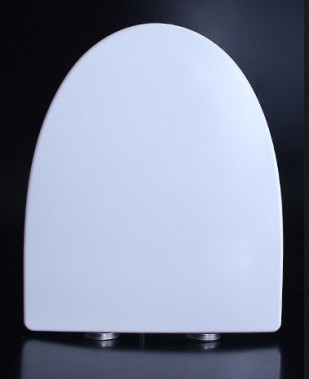 【麗室衛浴】高品質 A-190-1A 加長緩降馬桶蓋 PVC塑鋼材質