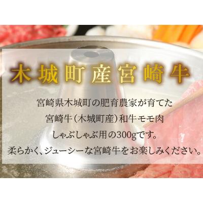 ふるさと納税 木城町 宮崎牛　和牛モモ肉　しゃぶしゃぶ　300g