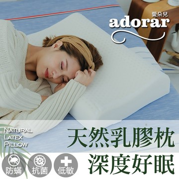 【快速出貨 】Adorar愛朵兒-人體工學釋壓天然乳膠枕(1入)