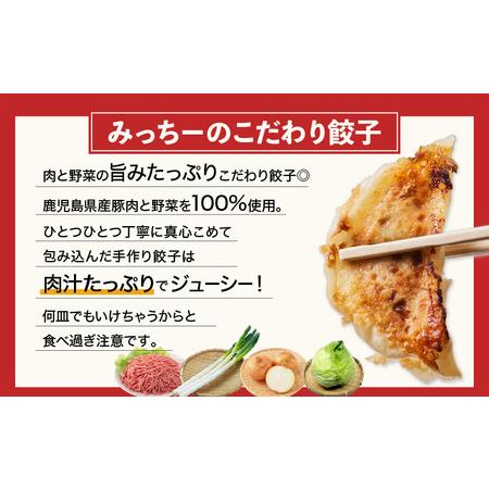 ふるさと納税 鹿児島人気餃子店のお得な餃子食べ比べセット　K118-001 餃子 ぎょうざ ギョーザ 鹿児島人気餃子 食べ比べ 肉餃子 野菜餃子 タ.. 鹿児島県鹿児島市