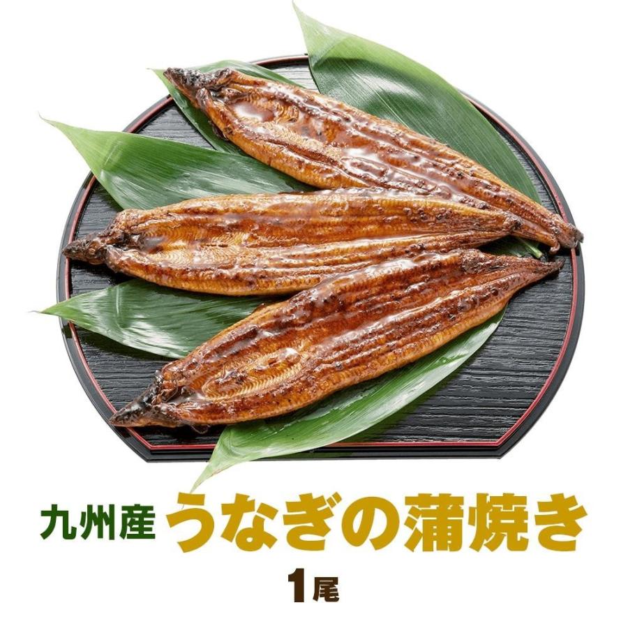 九州産うなぎの蒲焼き1尾 140ｇ〜150ｇ 特製たれ、山椒付き 国産 鰻 ウナギ 土用の丑の日　お中元　ギフト