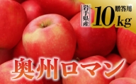  りんご 奥州ロマン 贈答用 10kg 岩手県 金ケ崎町産 10月下旬発送予定