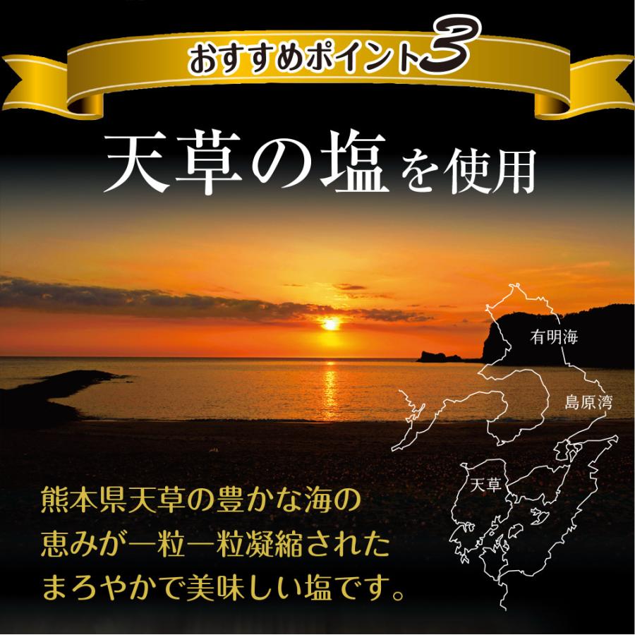 海苔 有明一番摘み 塩海苔 8切120枚 メール便 送料無料 塩のり 韓国のり風 味つけ海苔 味海苔 味のり 味付海苔 味付けのり 有明海苔