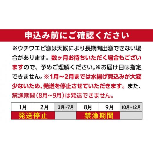 ふるさと納税 長崎県 平戸市 漁師直送！ 活き！ 平戸の「うちわえび」 計3.6kg（600g×6回） 平…